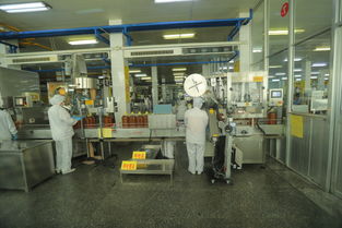 科技与诚信 驱动鲁花腾飞的双翼