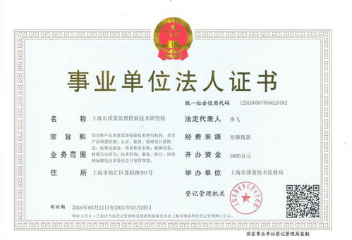 营业执照中的技术开发 入门指南与核心考量